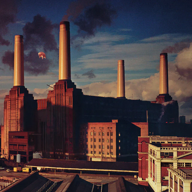 Animals (2016 Remaster)