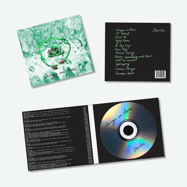 Danger In Fives CD - Image 2