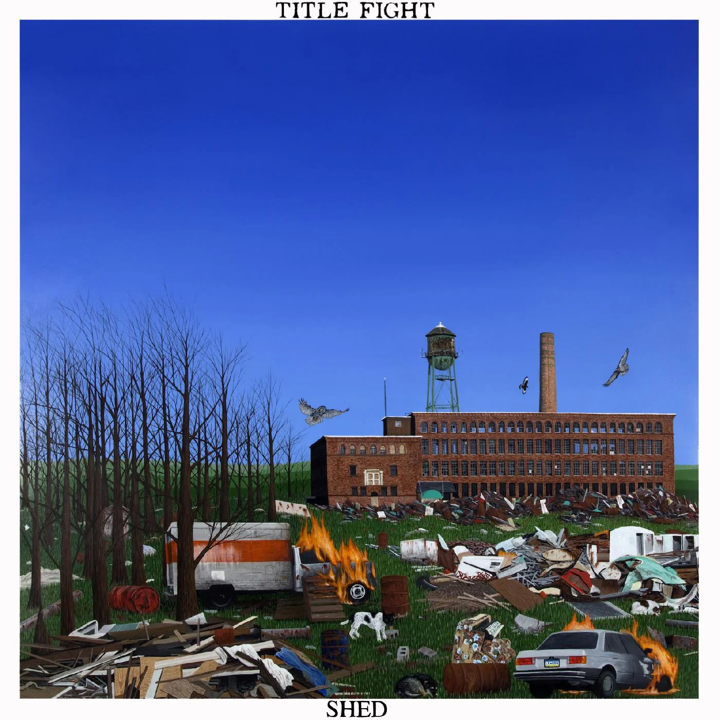 Shed CD